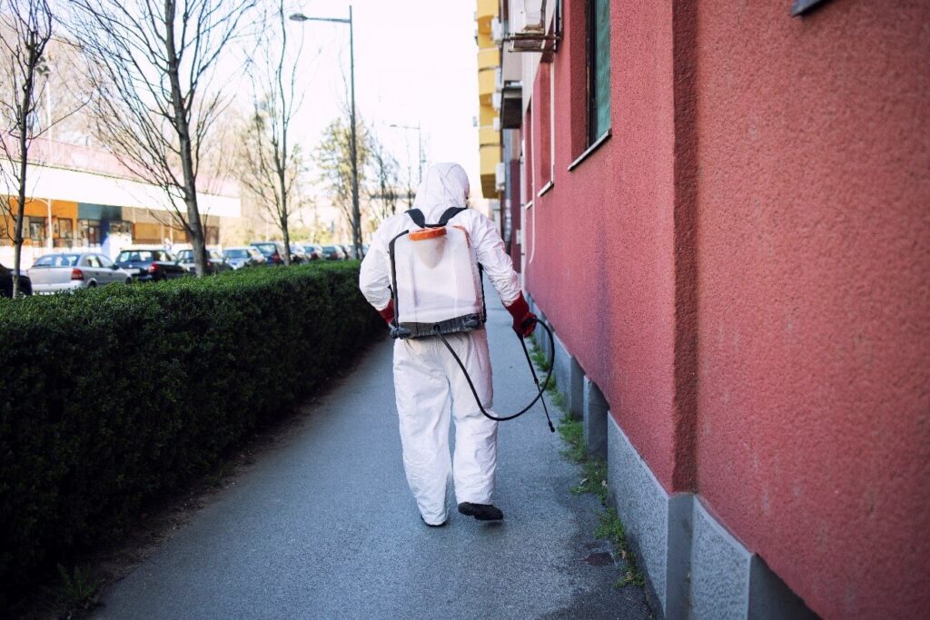 empresa de fumigación de hormigas en madrid